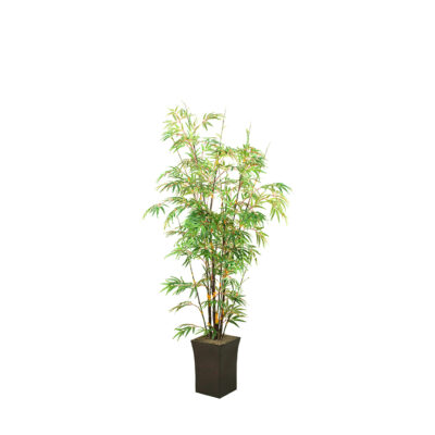 Black Bamboo Tree in Square Metal Planter 7' - 104108