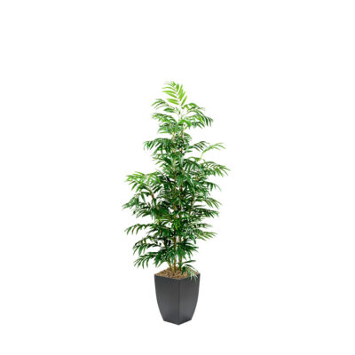 Phoenix Palm Tree in Cardinal Planter 7' - 109125