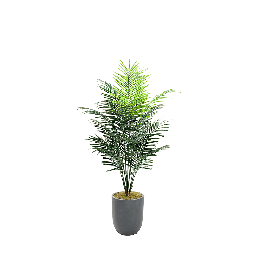 Dwarf Areca Palm Tree in Cardinal Planter 7′ – 109126|D&W Silks