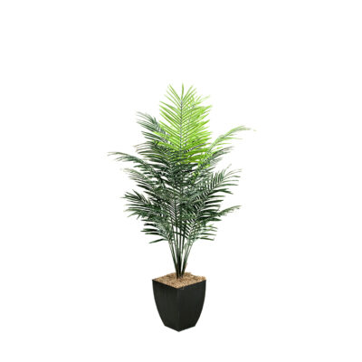 Dwarf Areca Palm Tree in Cardinal Planter 7' - 109126