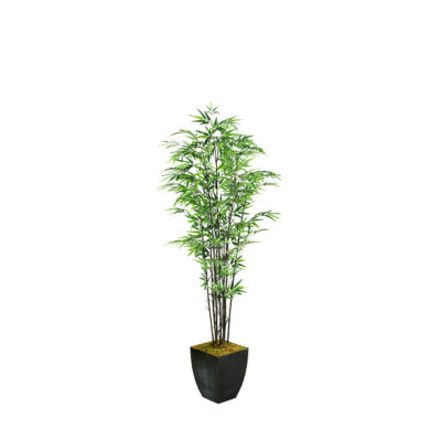 Black Bamboo Tree in Cardinal Planter 7' - 109127