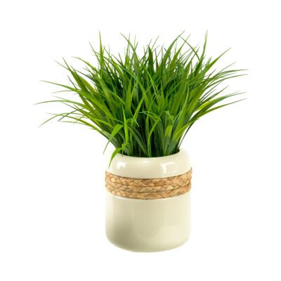Wild Grass in Gemma Planter