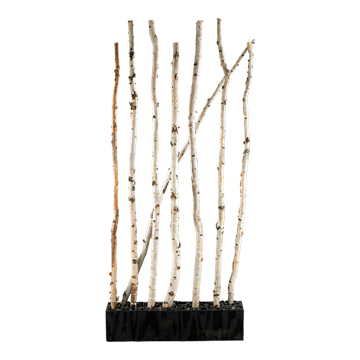 Birch Screen in Rectangle Planter 7' - 111539
