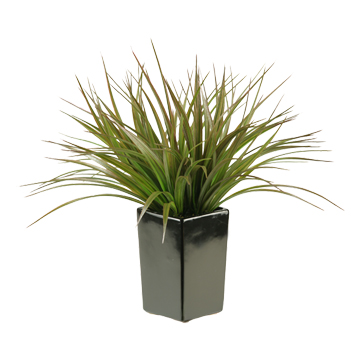 Brown/Green Grass in Orion Planter - 137014