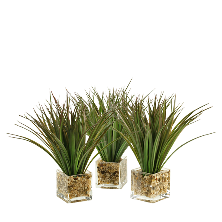 Wild Grass in Tealight Vase - Set of 3 - 139087