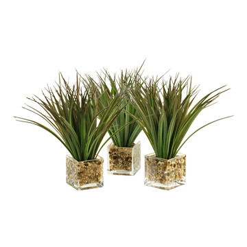 Wild Grass in Tealight Vase - Set of 3 - 139087