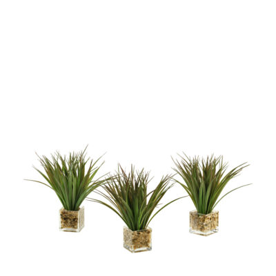 Wild Grass in Tealight Vase - Set of 3 - 139087
