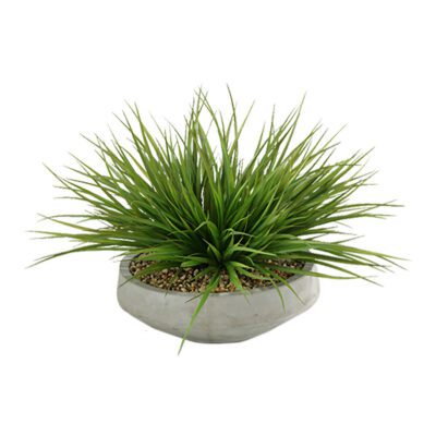 Wild Grass in Newport Bowl - 149016