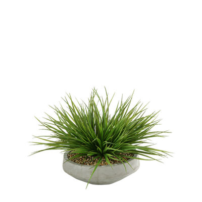 Wild Grass in Newport Bowl - 149016