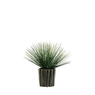 Green/Brown Onion Grass in Ripple Planter - 151007