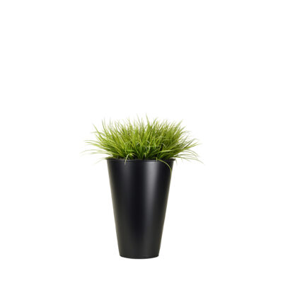 Wild Grass in Cheer Planter 3' - 154038