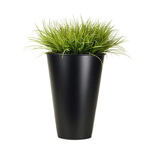 Wild Grass in Cheer Planter 3' - 154038 - Image 2