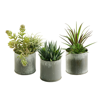 Aloe, Succulents and Easter Grass in Small Harvest Vase - Set of 3 - 154045