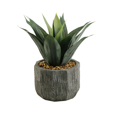 Red/Green Agave Plant in Ridge Planter - 154050