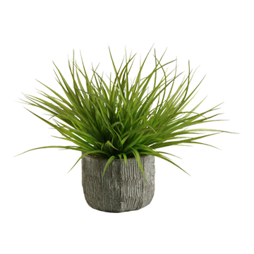 Wild Grass in Ridge Planter - 156031