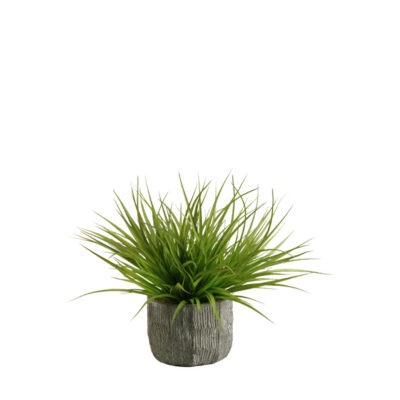 Wild Grass in Ridge Planter - 156031