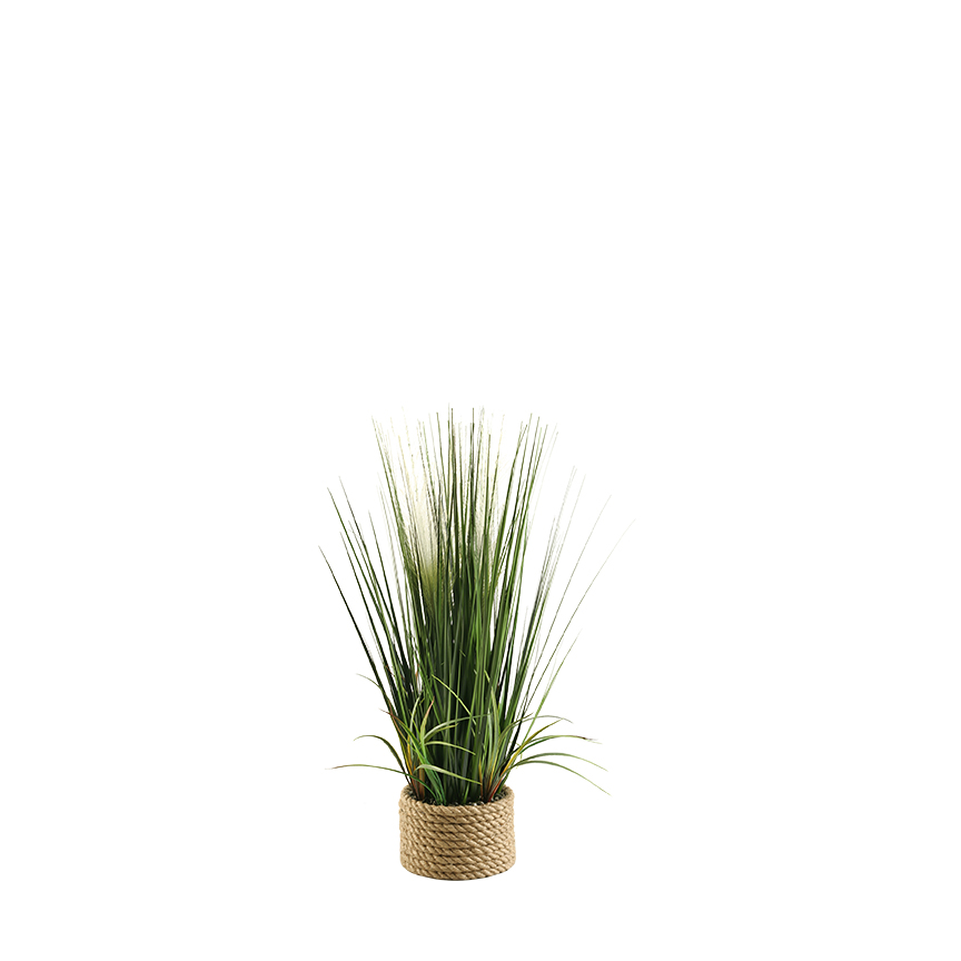 Tall Mixed Grasses in Rope Planter - 156109