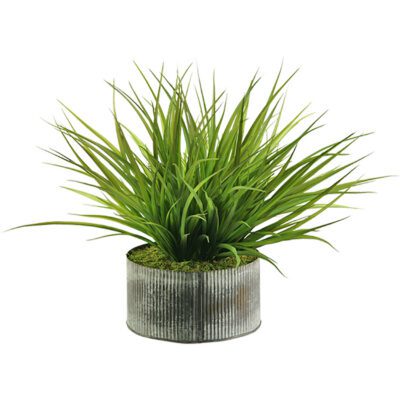 Wild Grass in XS Harvest Vase - 159133