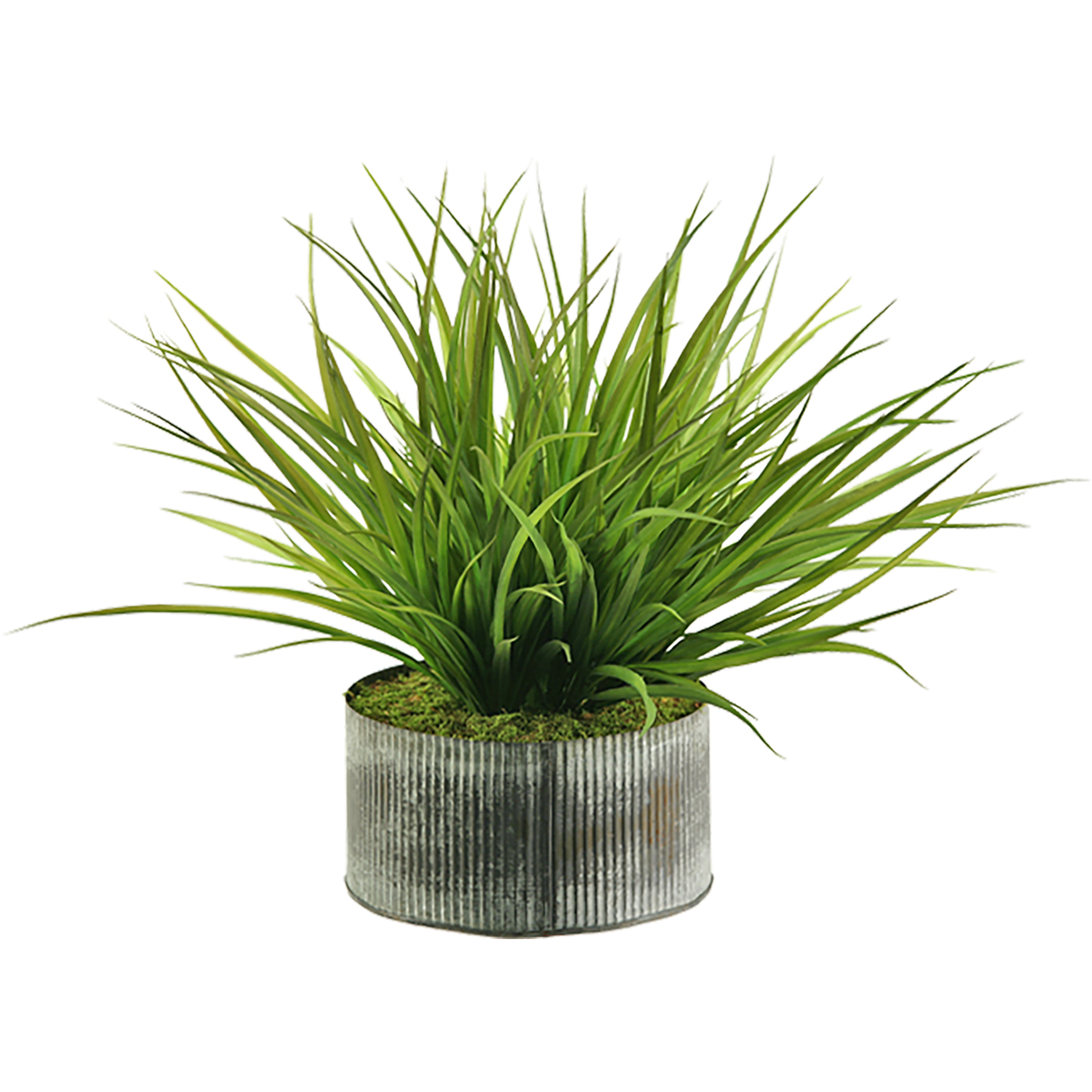Wild Grass in XS Harvest Vase - 159133