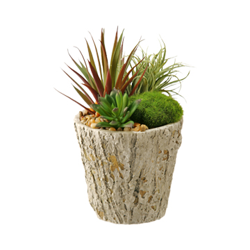 Easter Grass & Assorted Succulents in Small Genevieve Planter - 161073