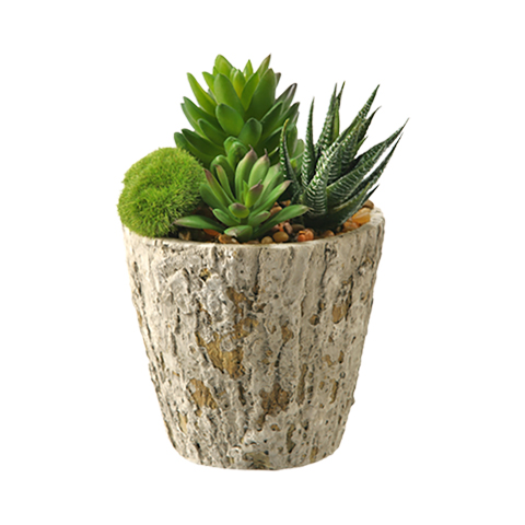Aloe & Assorted Succulents in Small Genevieve Planter - 161074