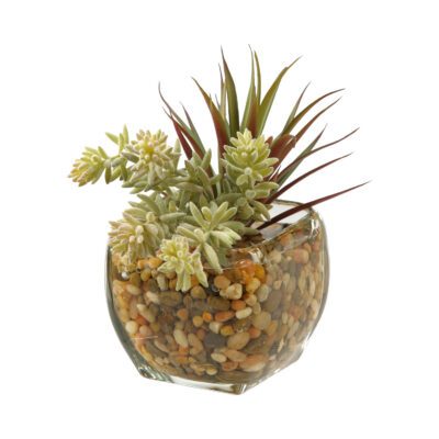 Burro's Tail and Yucca in Bevel Vase - 161088
