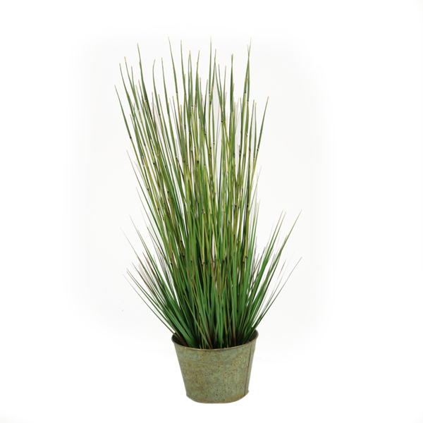 41" Onion grass in round metal planter - 164001
