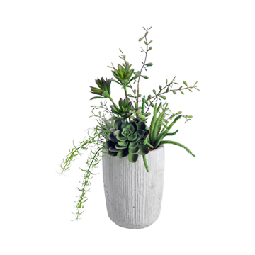 Mini Dracaena Heads, Sprengeri and Easter Grass in Cement Cylinder - 169065