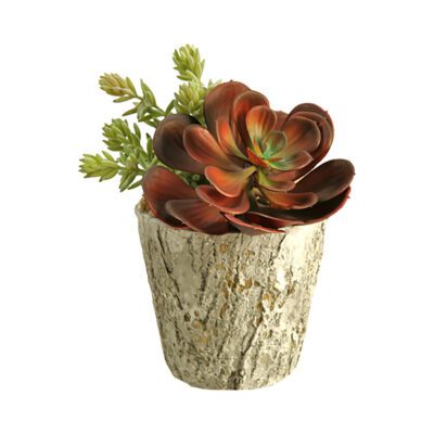 Red Echeveria & Donkey Tail in Small Genevieve Planter - 169067