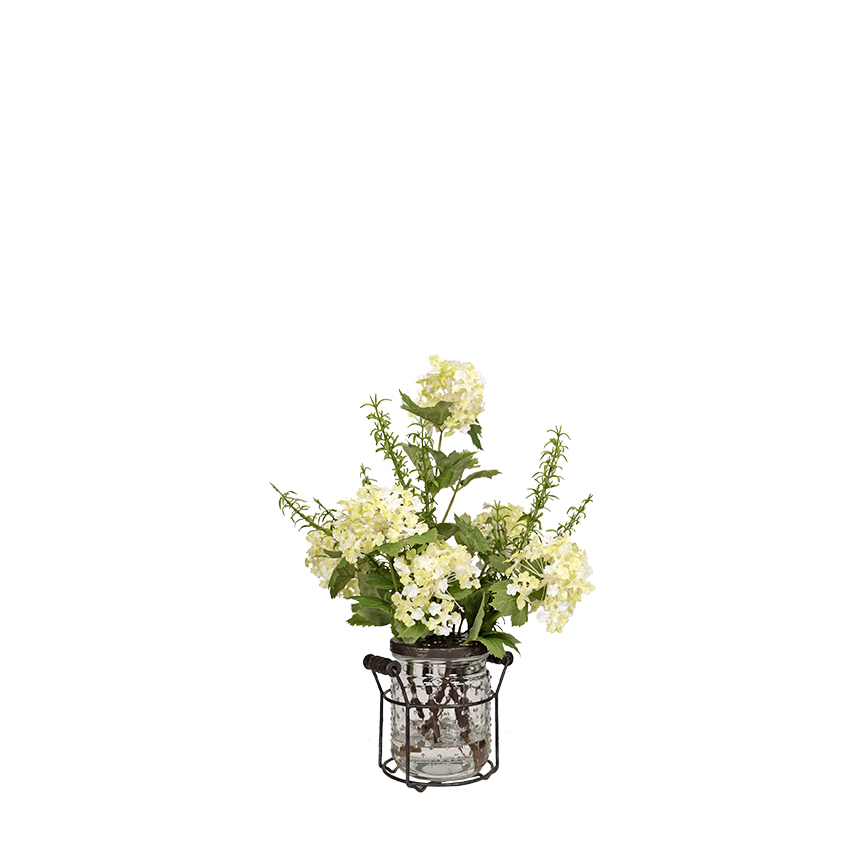 Cream/Green Snowball Branches in Firefly Jelly Jar - 169101