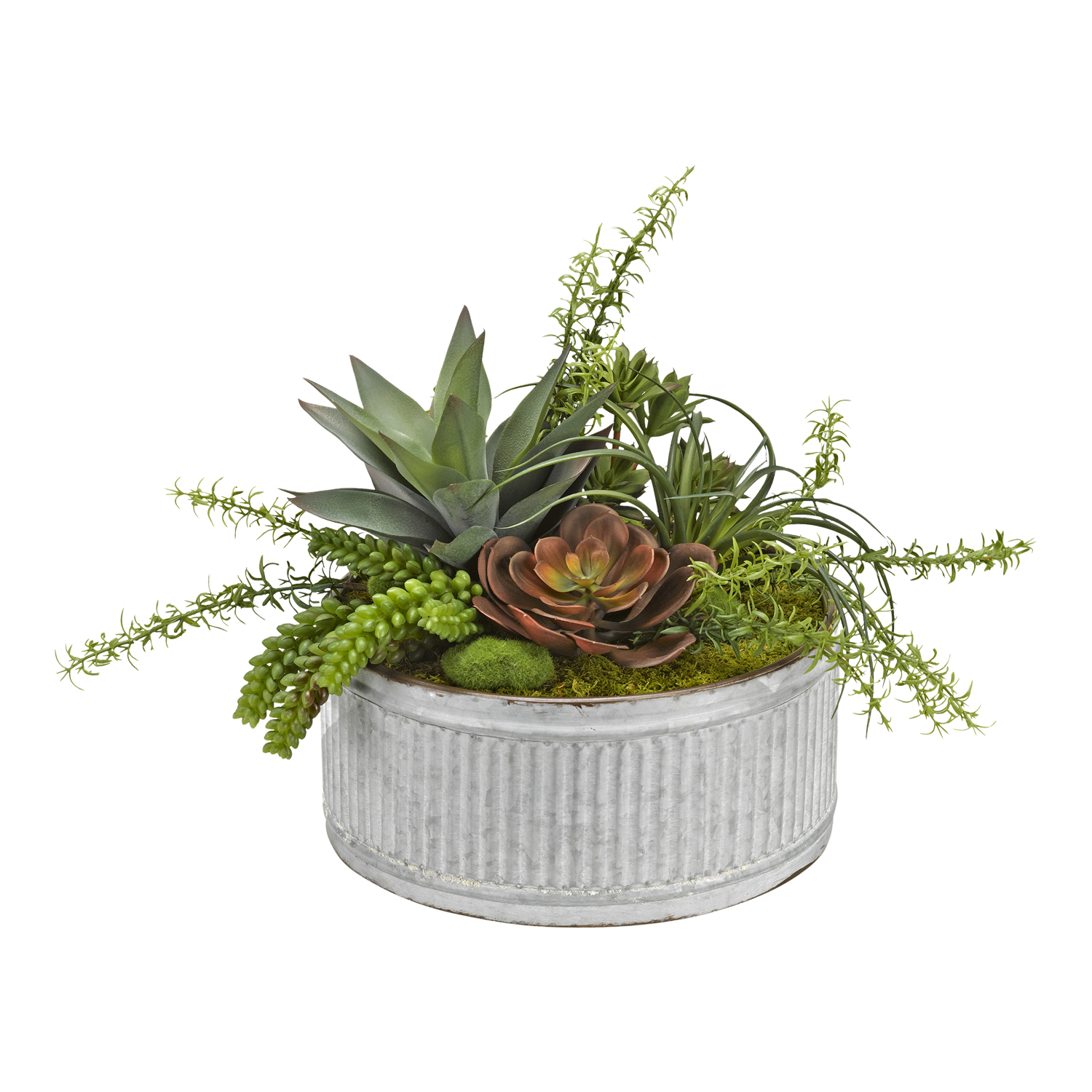 Echeveria, Aloe and Assorted Succulents in Round Tin Planter - 174047