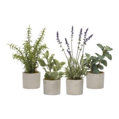 Basil, Rosemary, Lavender & Mint Sprays in Devon Vase - Set of 4 - 179009