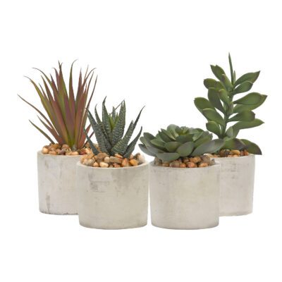 Aloe, Echeveria, Jade & Succulents in Devon Vase - Set of 4 - 179022