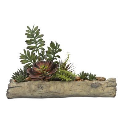 Assorted Succulents on Cement Log - 179024