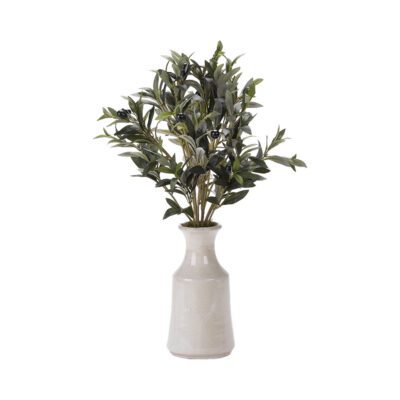 Olive Spray in Lait Vase - 179032