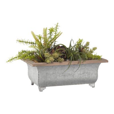 Echeveria, Burro's Tail, Mini Dracaena, Tillandsia and Small Deer Fern in Tin Planter with Wood Trim - 184002