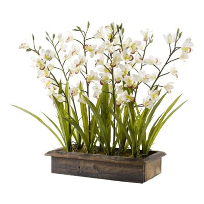 Cymbidium Orchids in Rectangle Wooden Planter - 187019