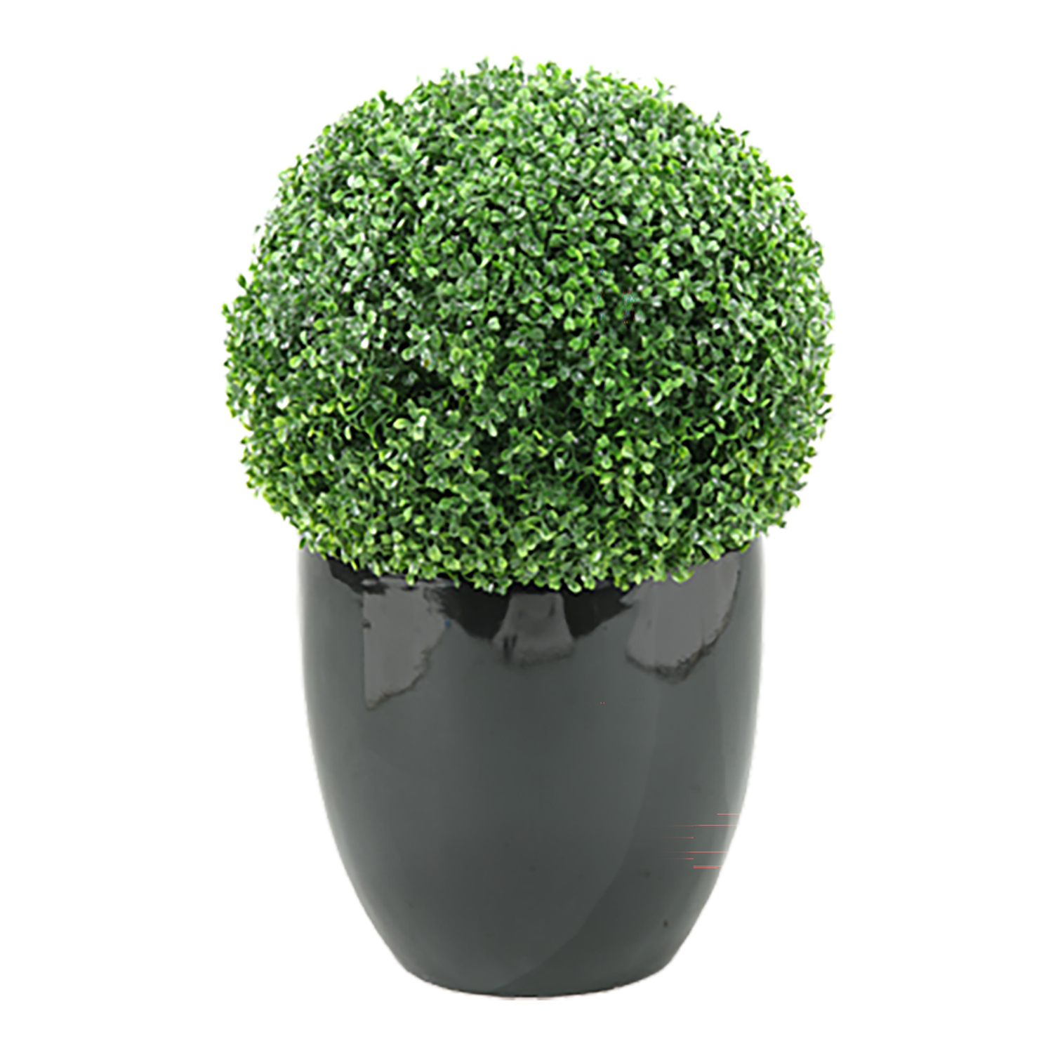 Boxwood Ball in Large Taylor Planter - 312110