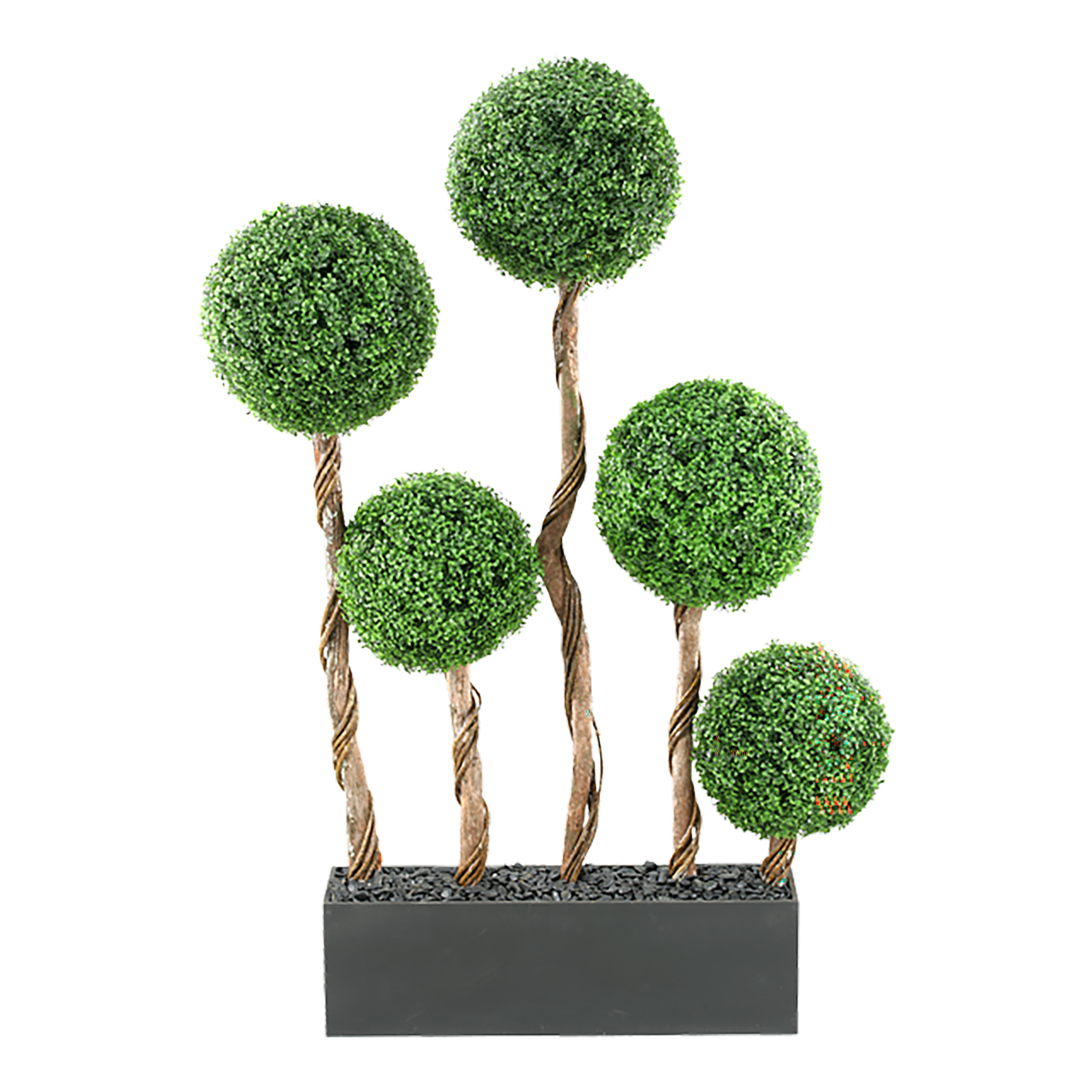 Boxwood Ball Screen in Rectangle Planter - 312133