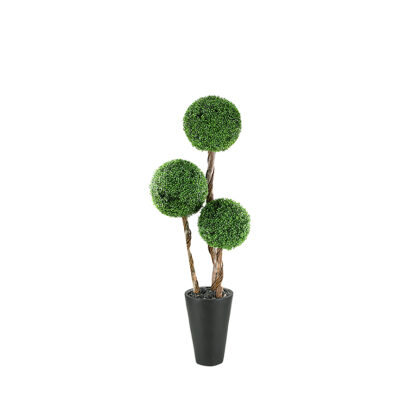 Boxwood Topiary in Matte Planter 7' - 312905