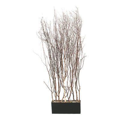 Birch Tree Tops Screen in Rectangle Planter - 312913