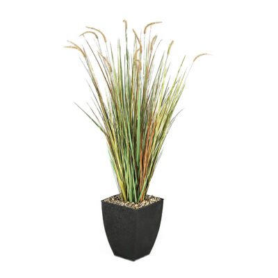 Onion Grass in Cardinal Planter 5.5' - 313412