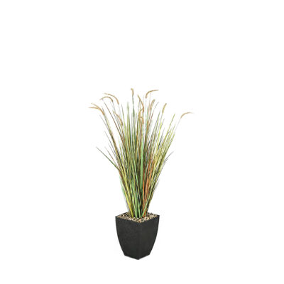Onion Grass in Cardinal Planter 5.5' - 313412