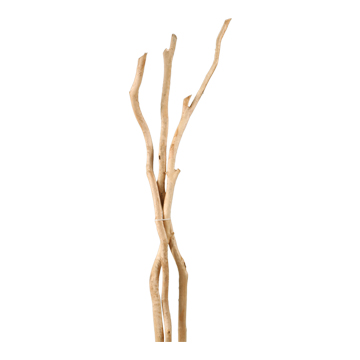 Sandblasted Dragonwood Trunks 7' - Set of 3 - 313932