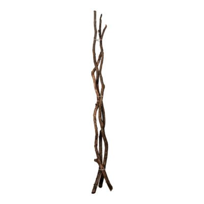 Small Dragonwood Trunk Bundle 7' - 313934
