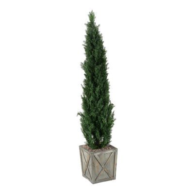 Cedar Tree in Grange Planter 7' - 315419