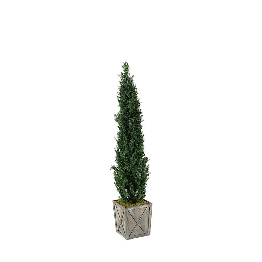 Cedar Tree in Grange Planter 7′ – 315419|D&W Silks
