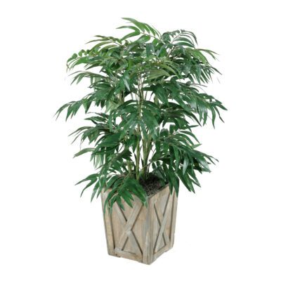 Phoenix Palm in Grange Planter 3' - 315420