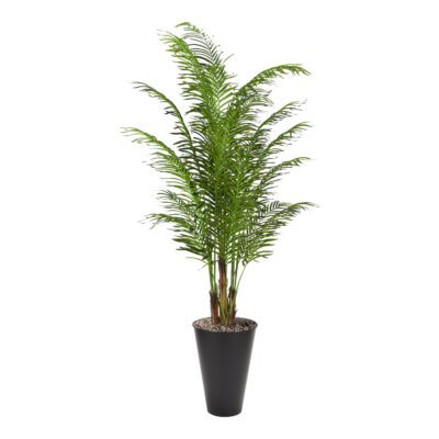 Kentia Palm Tree in Cheer Planter 9' - 316401