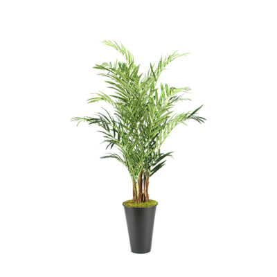 Kentia Palm Tree in Cheer Planter 9' - 316401